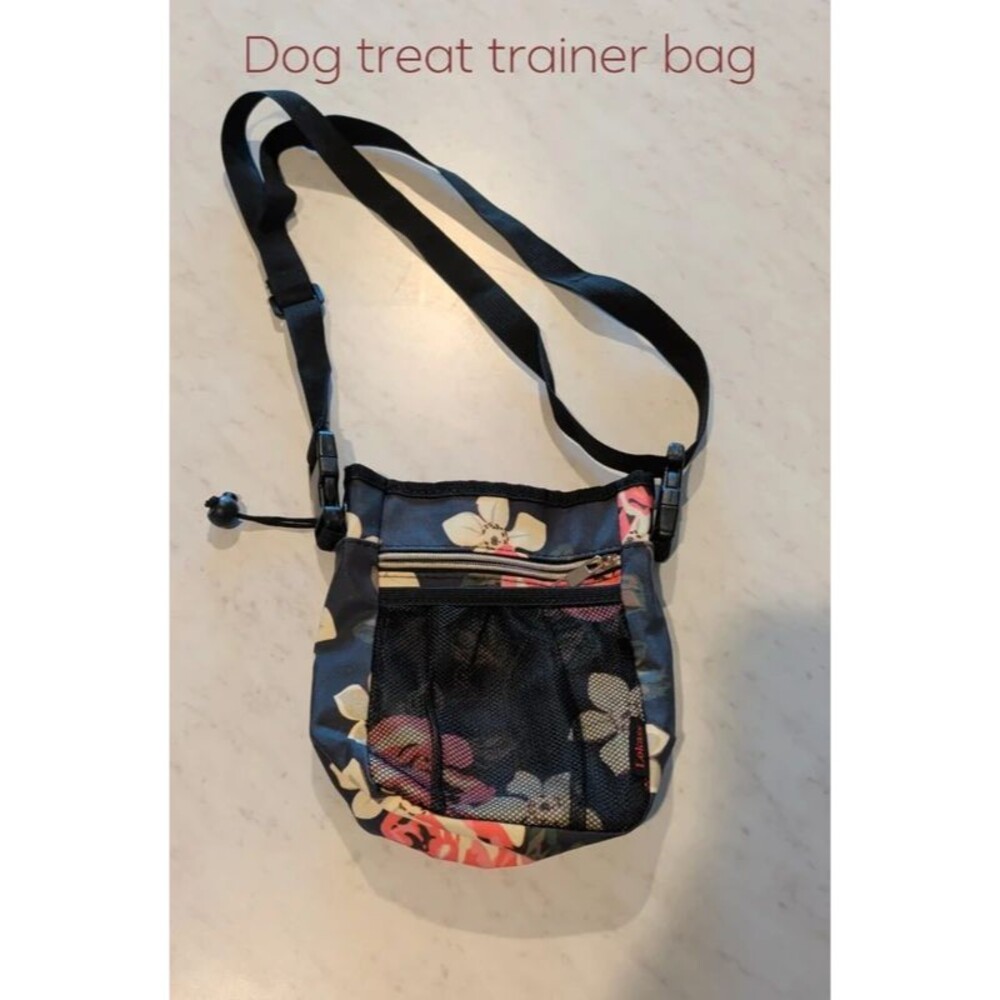Dog treat bag